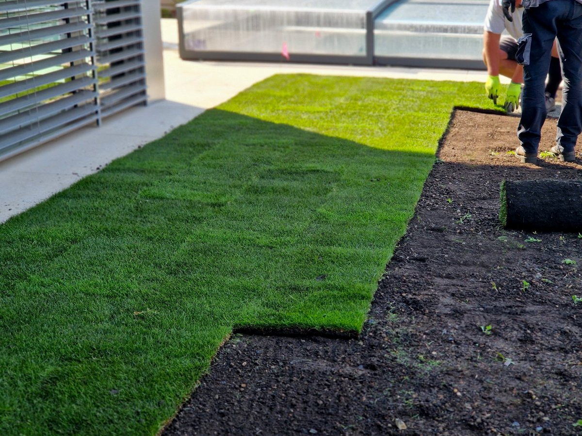 Laying grass turf in the family garden
