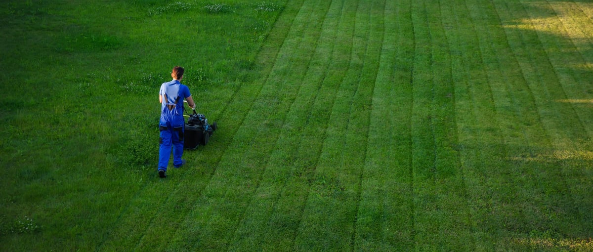 Professional lawn mowing service in Melbourne