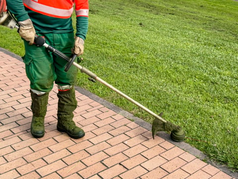 Professional lawn edging along pathways