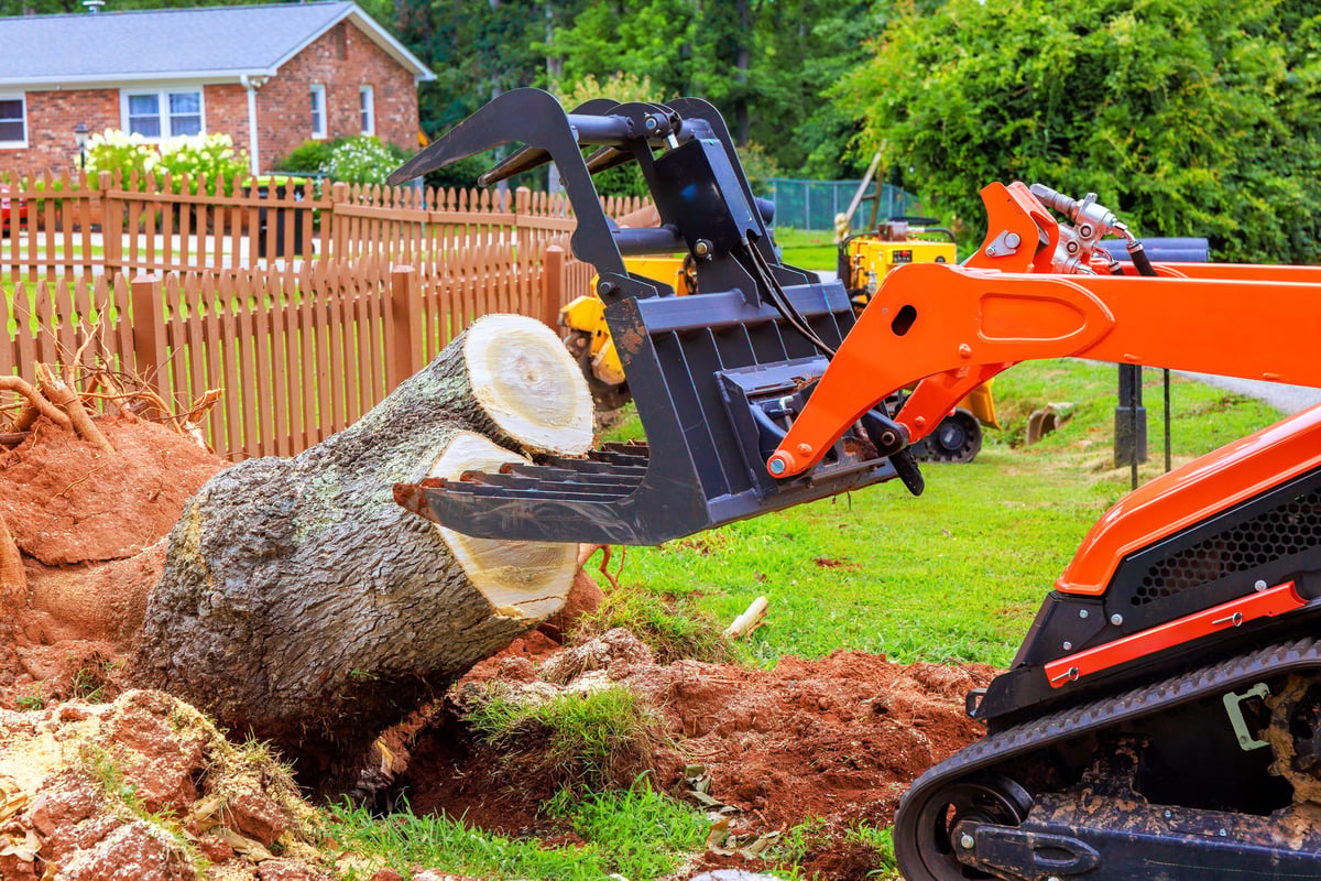 Construction skid steer machinery removes large tree stump from grassy residential yard
