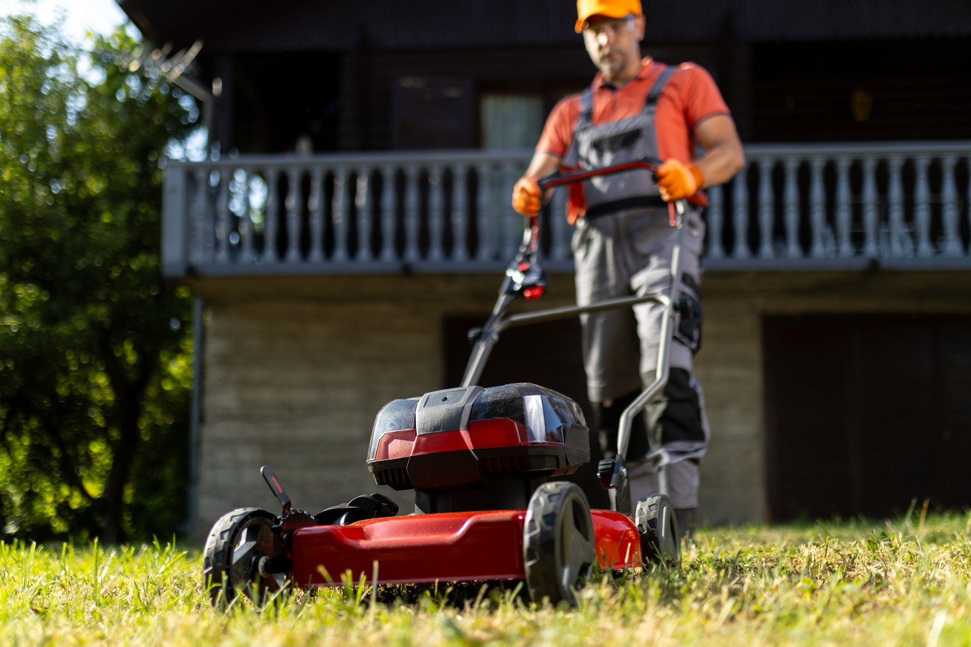 Professional lawn care service