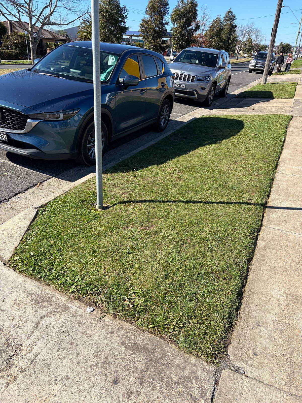 Parked cars along a street with grass verge and sidewalk