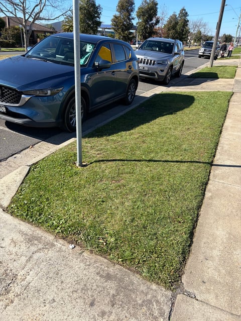 Parked cars along a street with grass verge and sidewalk