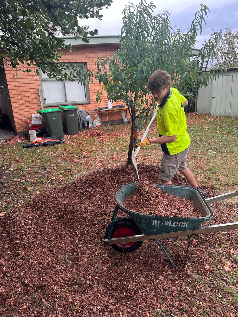 Person in yellow vest using a shovel to load mulch into a wheelbarrow in a residential backyard