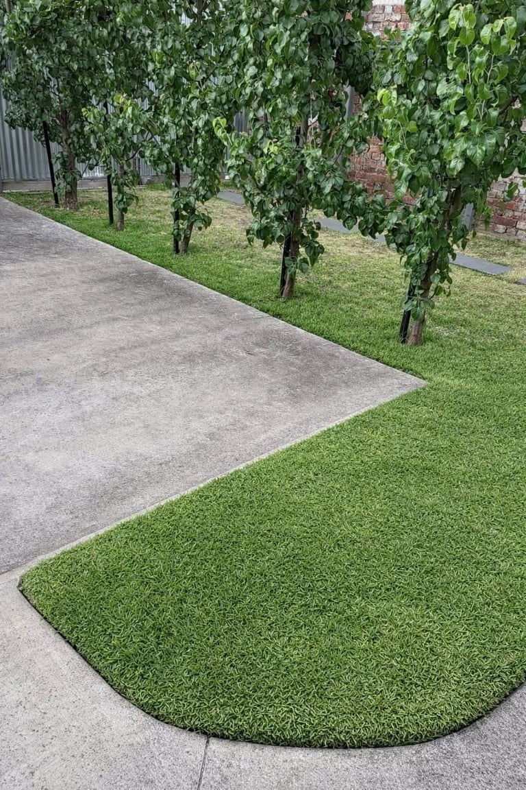 Concrete patio with curved artificial turf border and young ivy-covered trees in background near brick wall