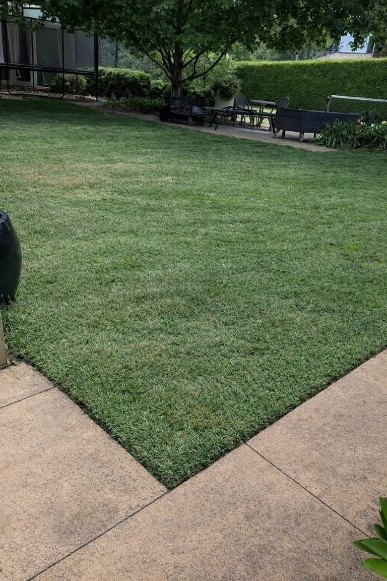 Backyard with artificial green turf, concrete patio, seating area, large tree, and hedges near modern house