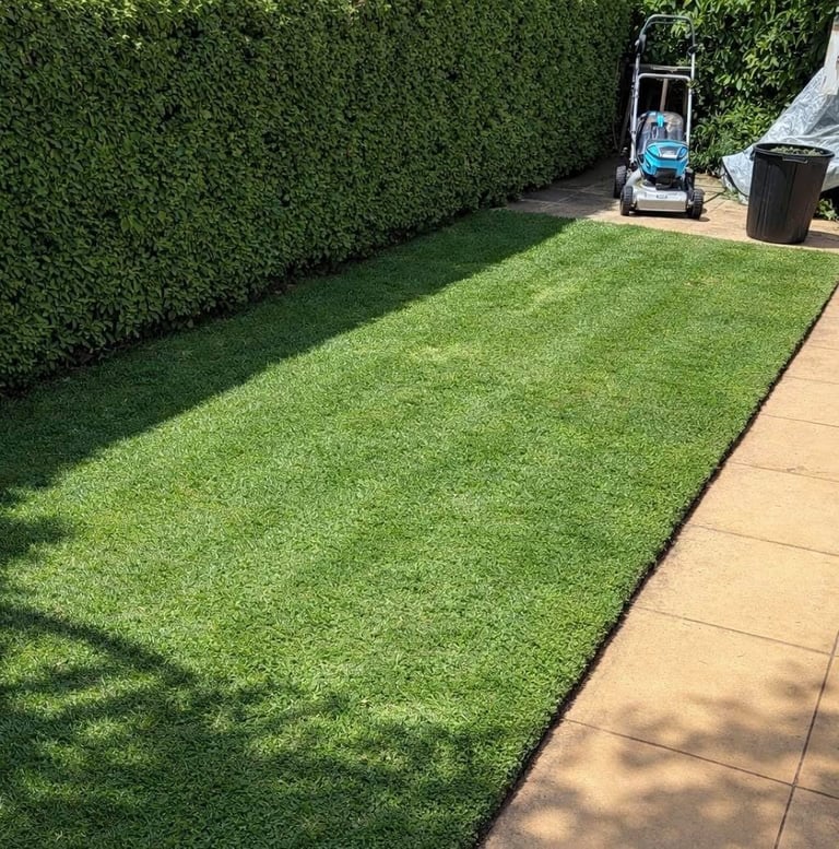 Well-maintained green lawn with manicured hedge border, paved patio, and lawn mower parked in residential garden