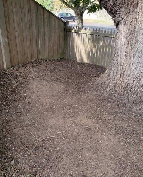 Narrow dirt pathway between wooden fences with large tree trunk on right, leading to parked car and open field