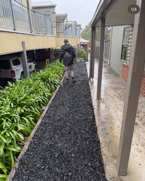 Person walking on wet mulch pathway between green plants and brick buildings with metal railings overhead
