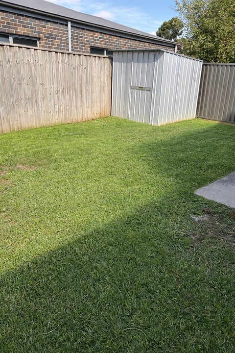 Residential backyard with green lawn, corrugated metal fencing, brick house, and concrete pathway