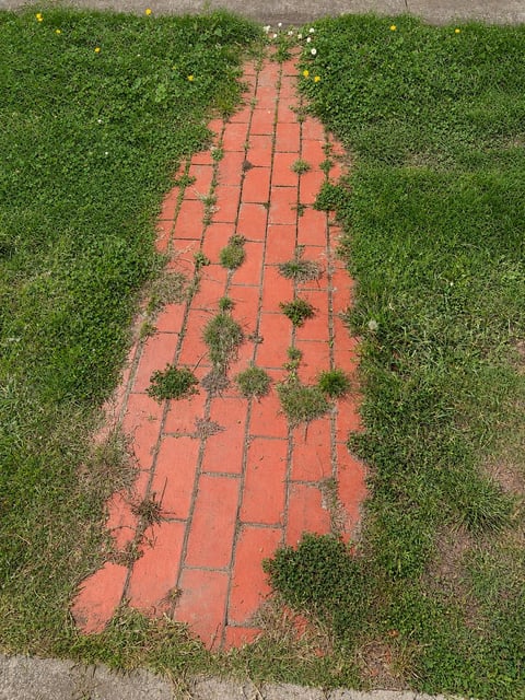 Overhead view of a red brick pathway overgrown with weeds
