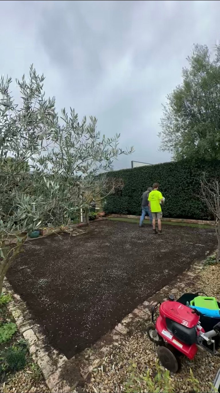Person in yellow shirt working on freshly laid dark soil in a garden bed surrounded by hedges and potted olive trees